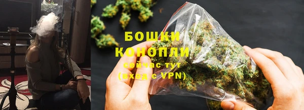 ГАЛЛЮЦИНОГЕННЫЕ ГРИБЫ Вяземский