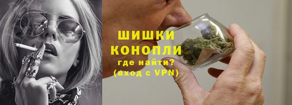 ГАЛЛЮЦИНОГЕННЫЕ ГРИБЫ Вяземский
