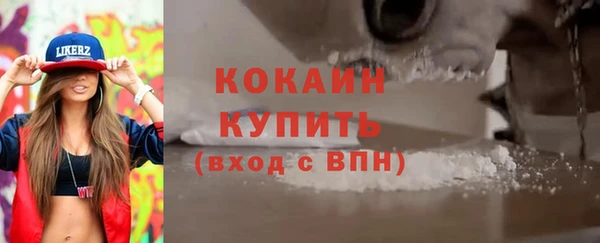 хмурый Тавда