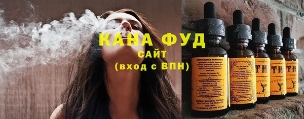 дмт Гусев
