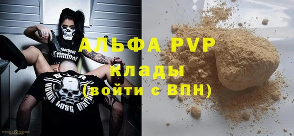 дмт Гусев