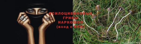 ГАЛЛЮЦИНОГЕННЫЕ ГРИБЫ Вяземский